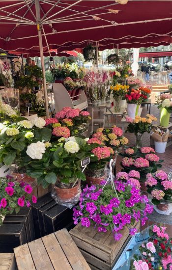 Beautiful Flowers sold in Monaco